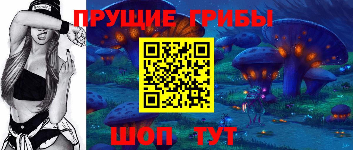 Вязьма  Псилоцибиновые грибы Magic Shrooms  Вход с VPN 